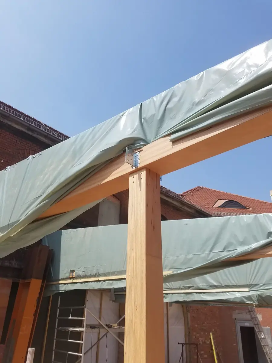 Baubuche Konstruktion