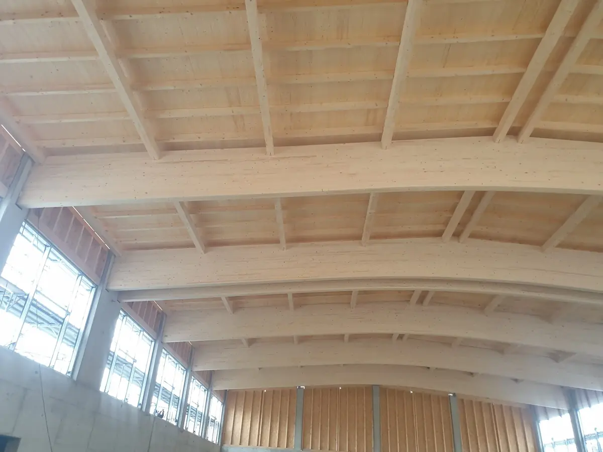 Ingenieurholzbau Projekt