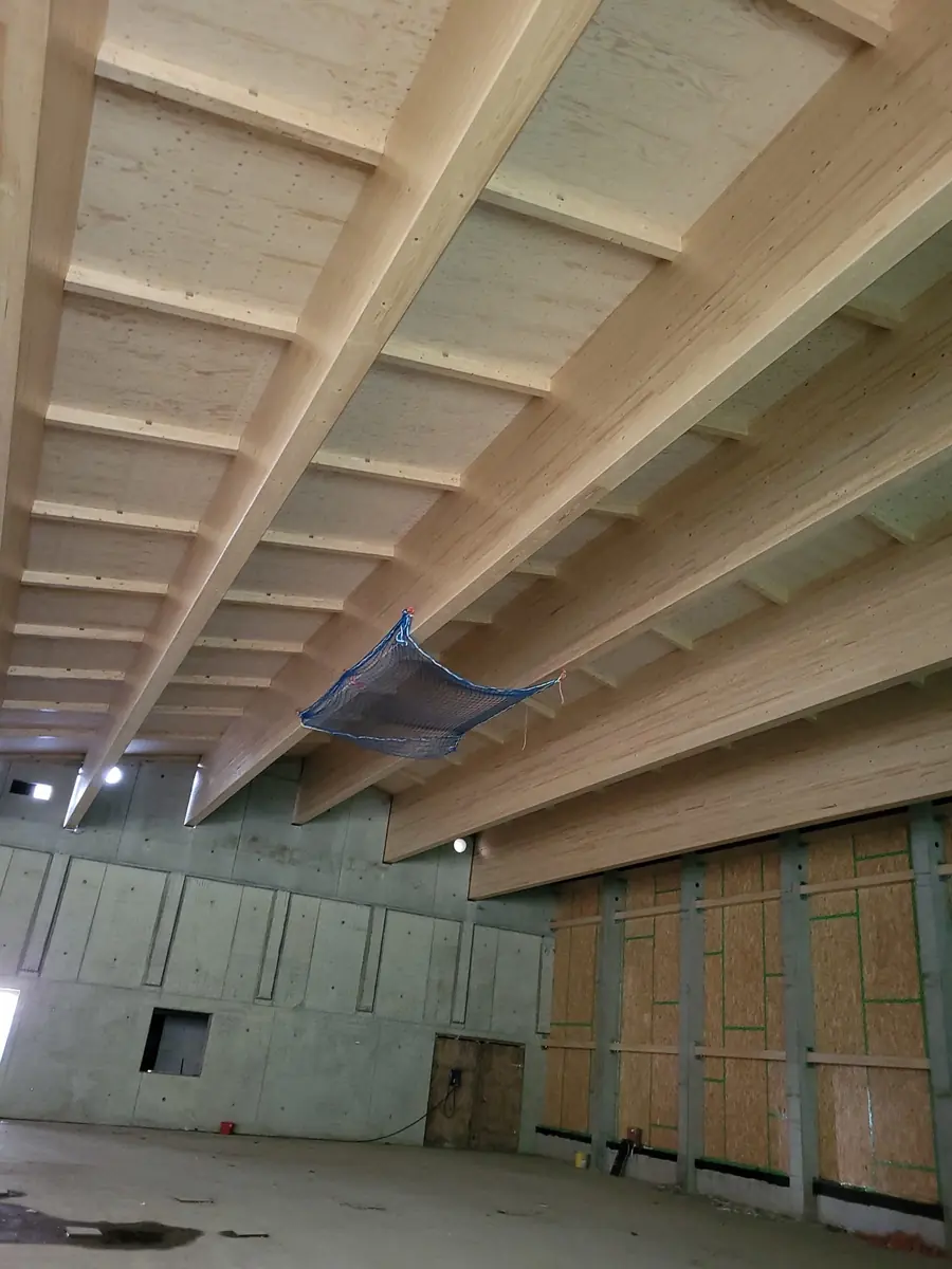 Ingenieurholzbau Projekt
